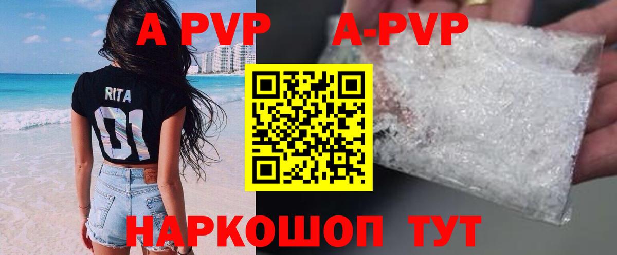Альфа ПВП СК Грозный